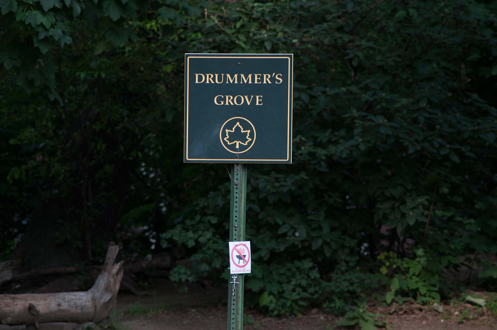 drummers grove_1