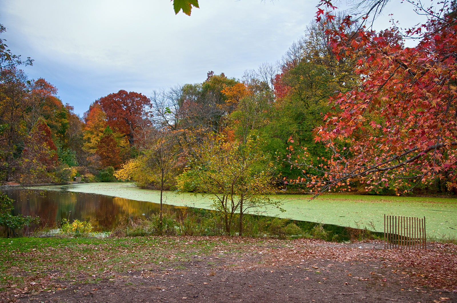 fall at prospect park 03