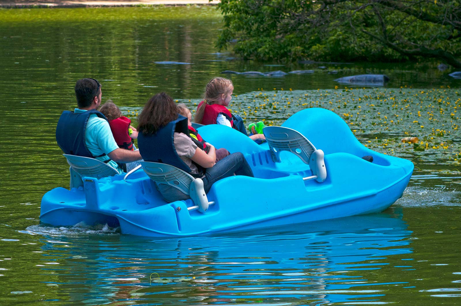 pedal boats_2