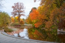 fall at prospect park 01